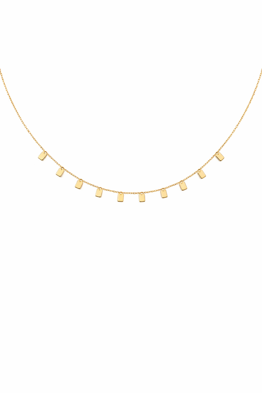 "Sorielle" Dainty Charm Necklace